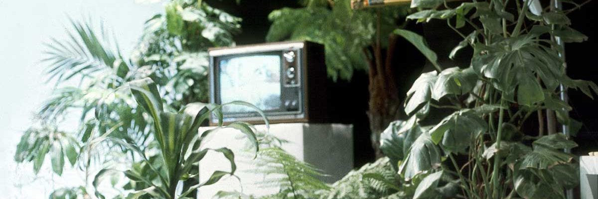 wawasherlad's profile banner image