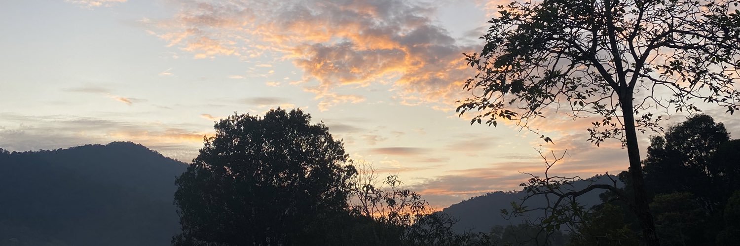 skvltk's profile banner image