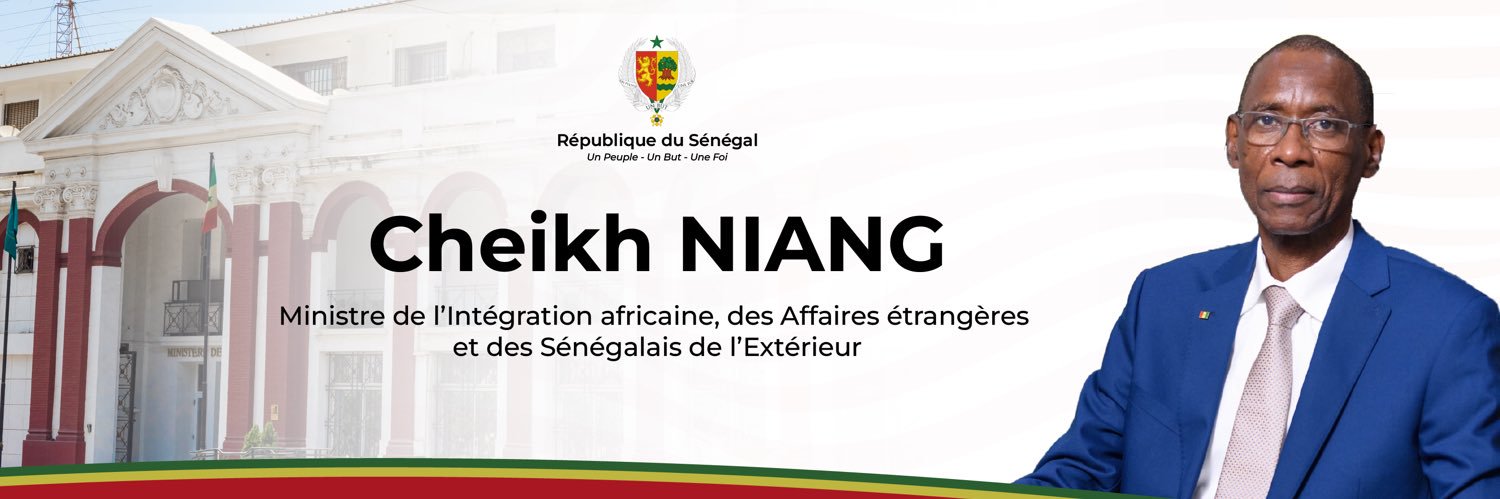 Cheikh Niang banner