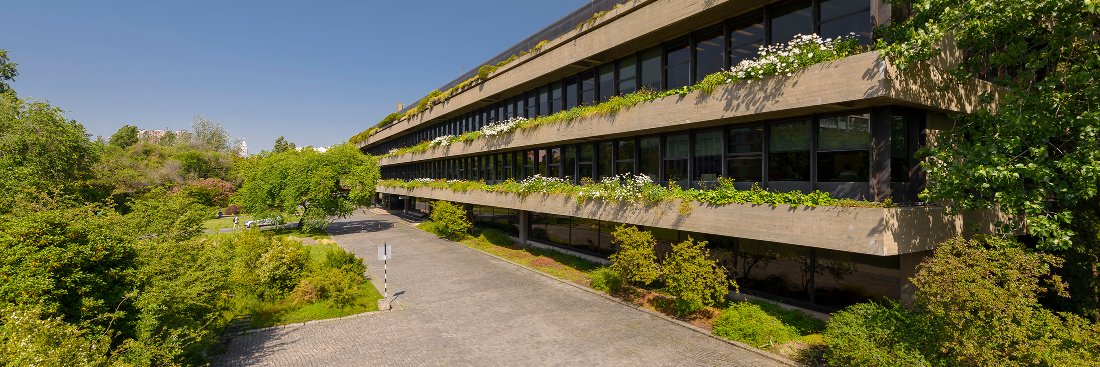 Fundação Calouste Gulbenkian's banner