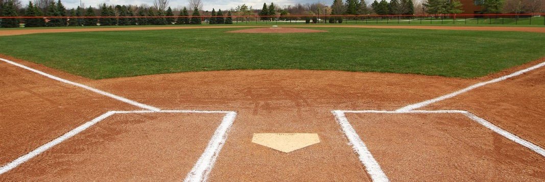 Aaron Lobliner banner