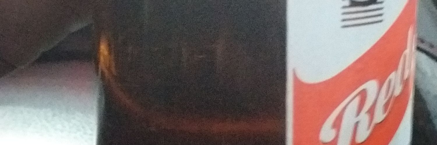big hood 876 banner