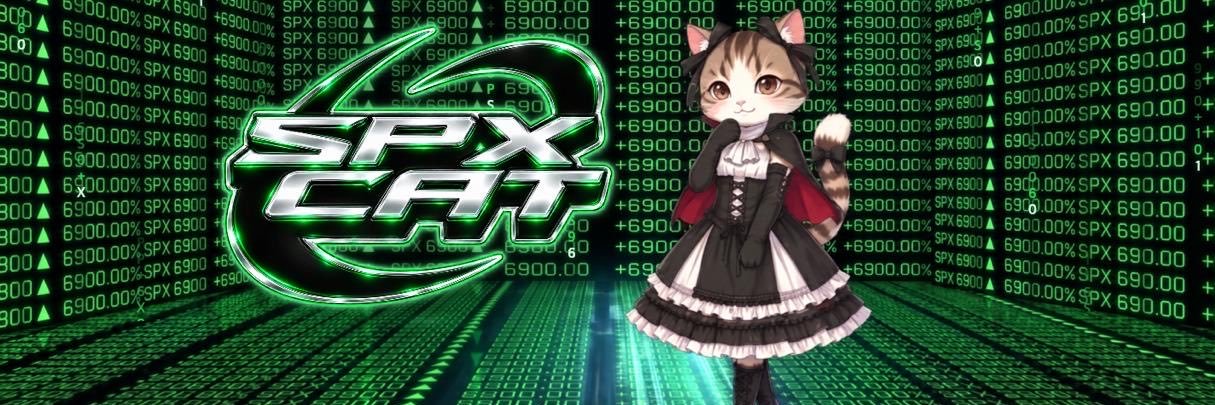 SPXCAT_'s profile banner image