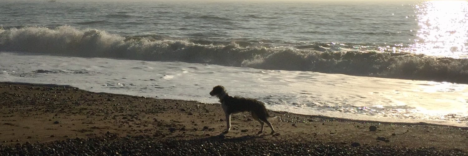 Hannah Ebelthite banner