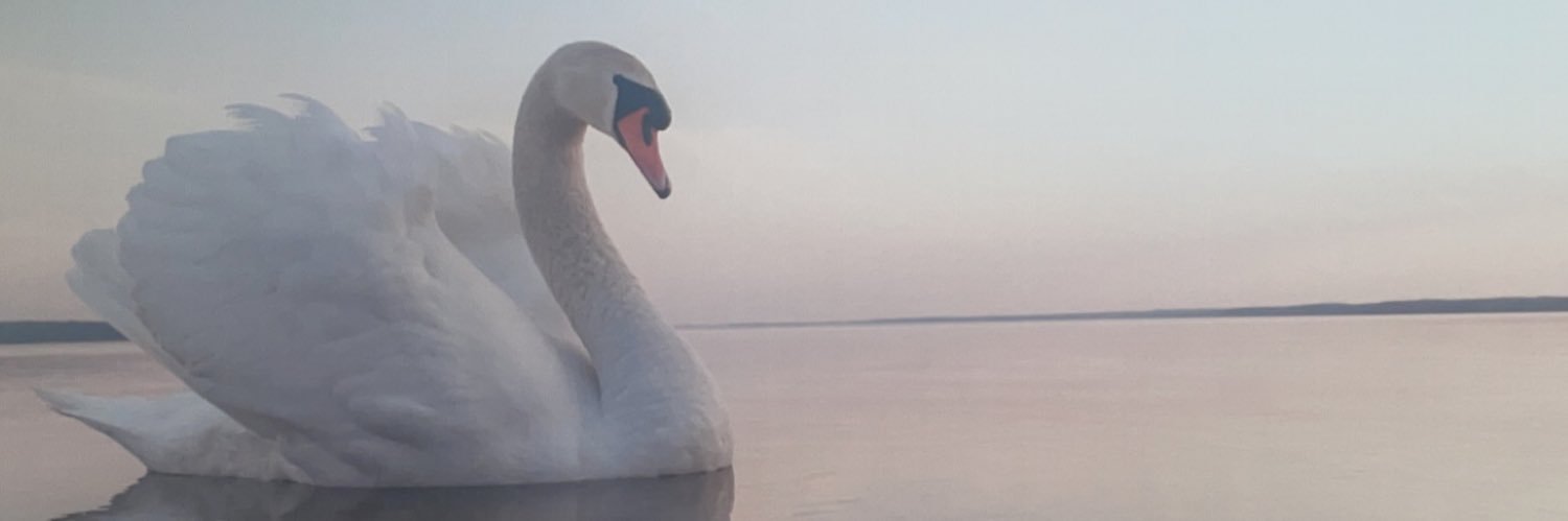 orlagh winters banner