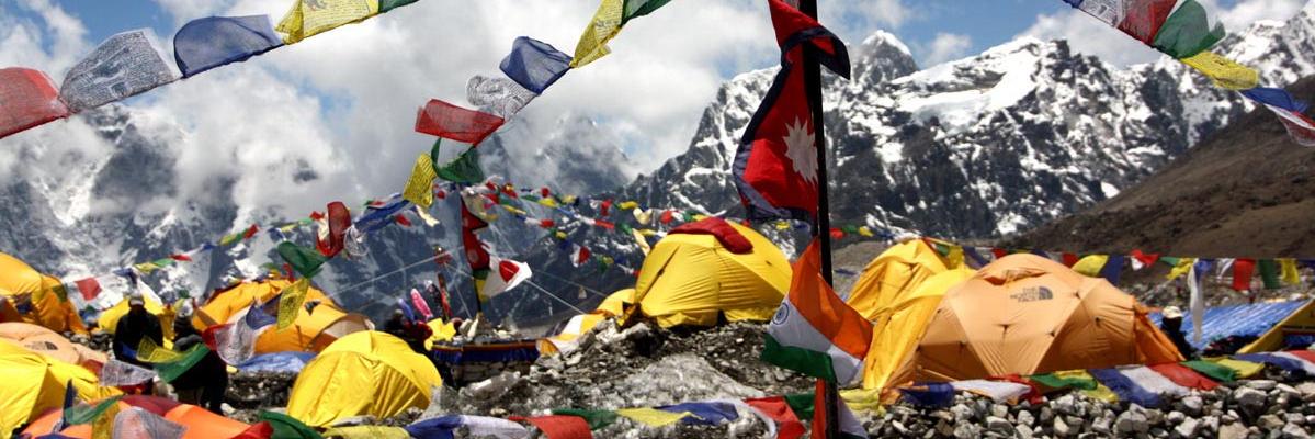 Hugo Matteri 🌴🌴🌴 banner