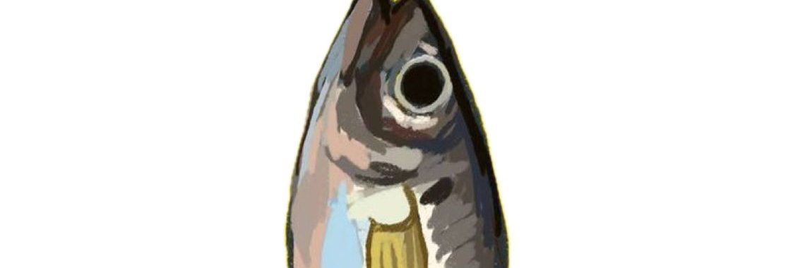 silly fish banner
