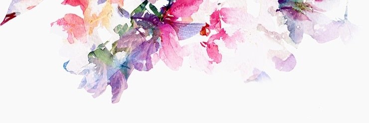 _Brigitte_BV's profile banner image