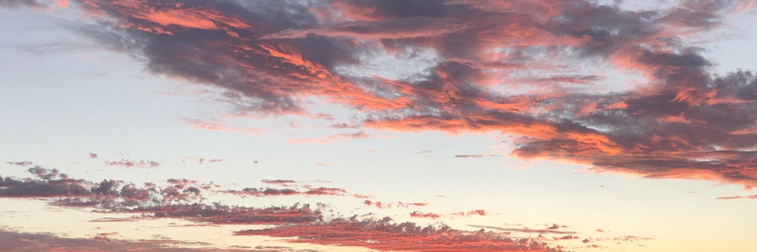 sydozguy's profile banner image