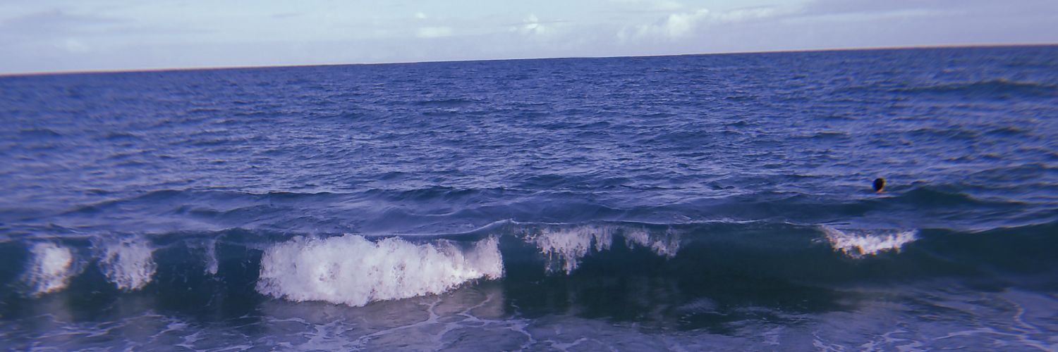 PauliJuarez's profile banner image