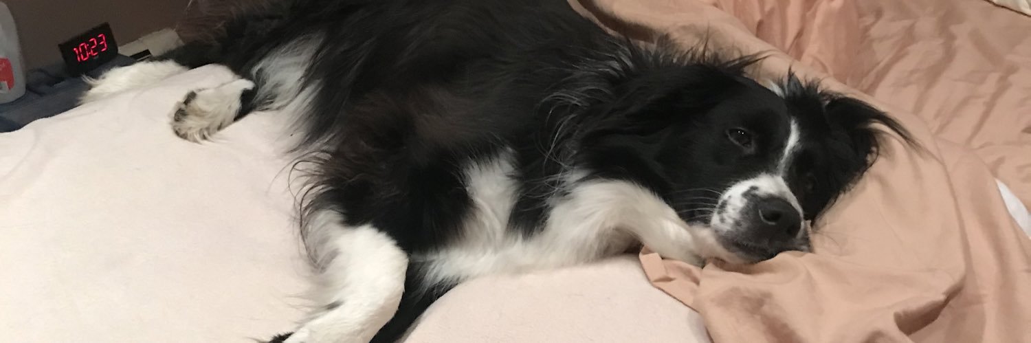 TinkerBrendie's profile banner image