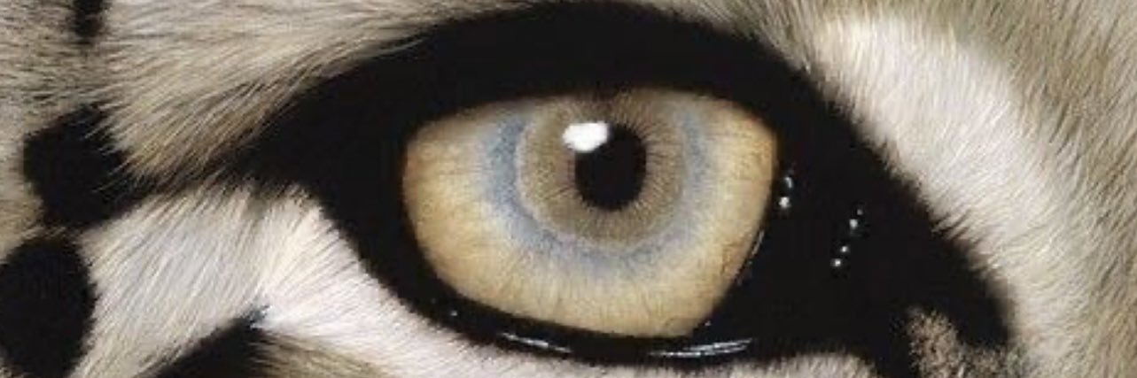 loolm_66's profile banner image