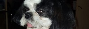 MVerito134's profile banner image