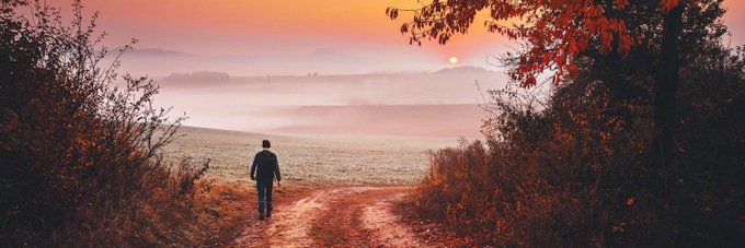 Steve Howrie 丁天 banner