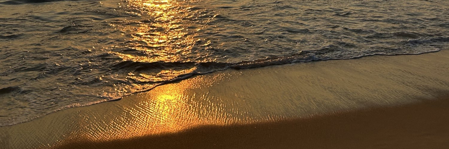 deborah_f33's profile banner image