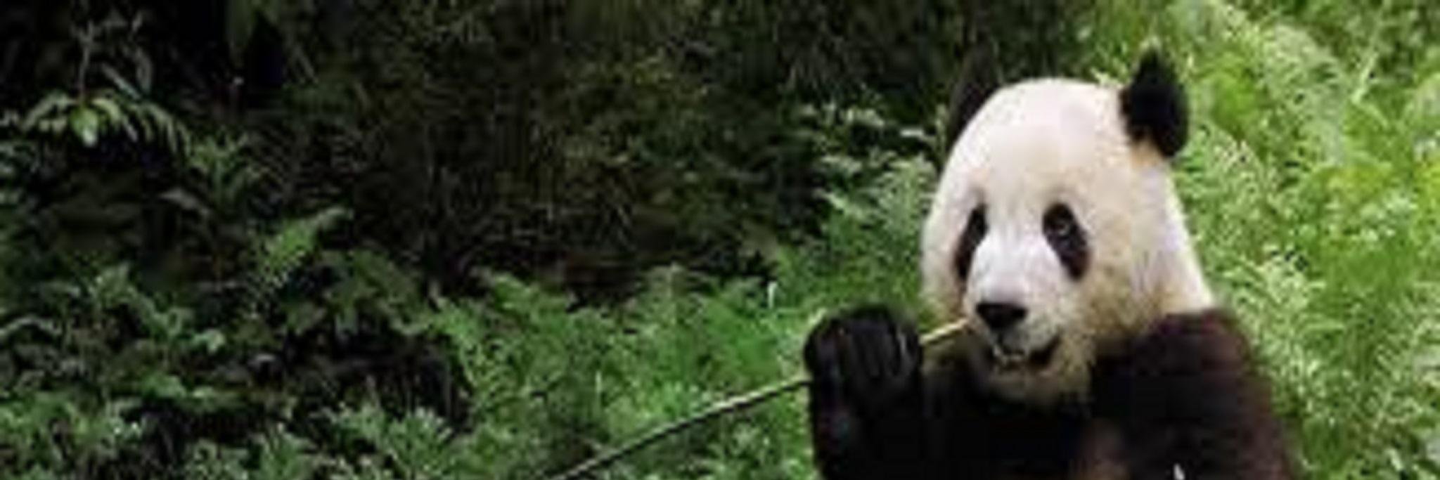 MikeyUnsworth's profile banner image