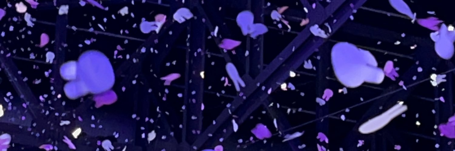 Ri banner