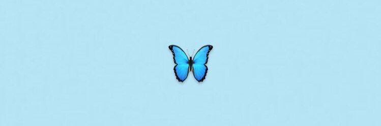 jupigini's profile banner image