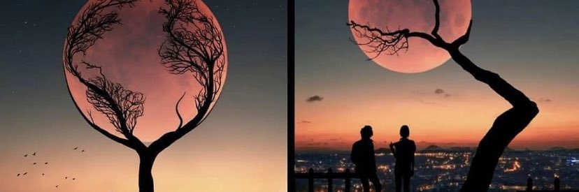KoKaneMusiiX's profile banner image