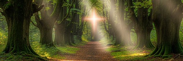 HailMary_com Profile Banner