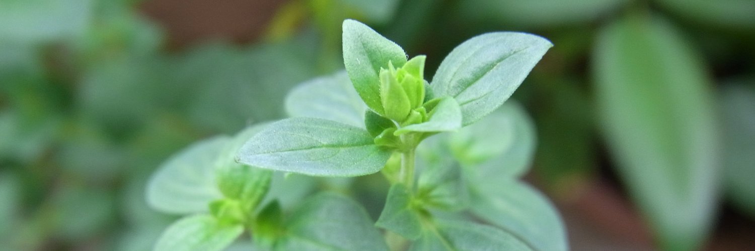 RA CITY★リウマチシティ banner