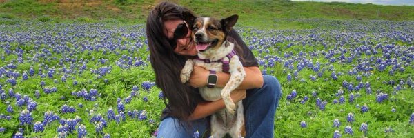 vballphil Profile Banner