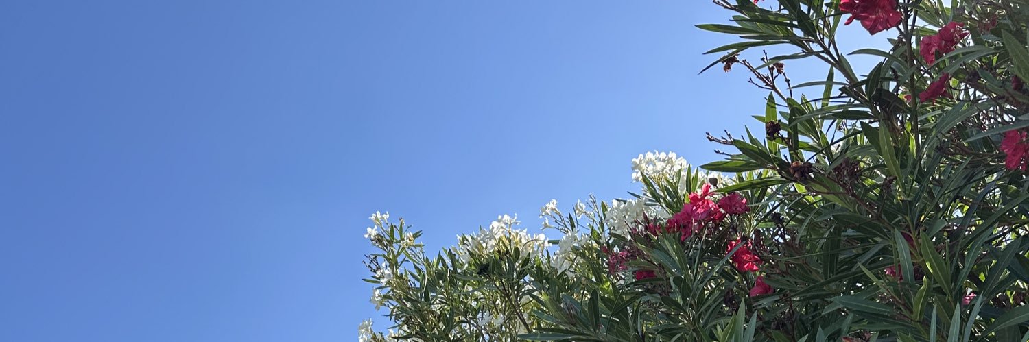 bingework's profile banner image