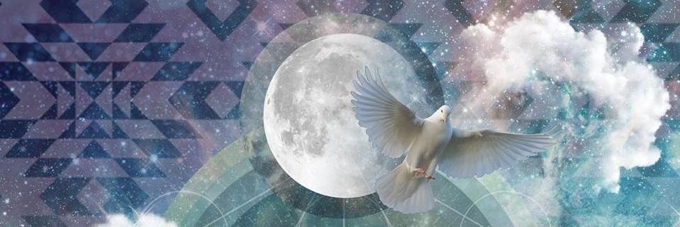 NonProfit_Meg's profile banner image