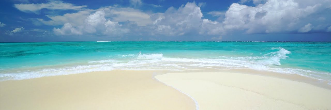 Amy Krohn banner