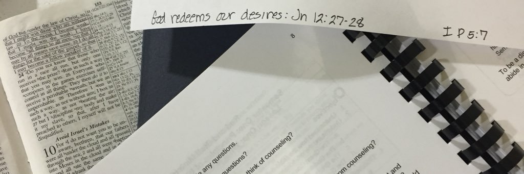 rachel williams banner