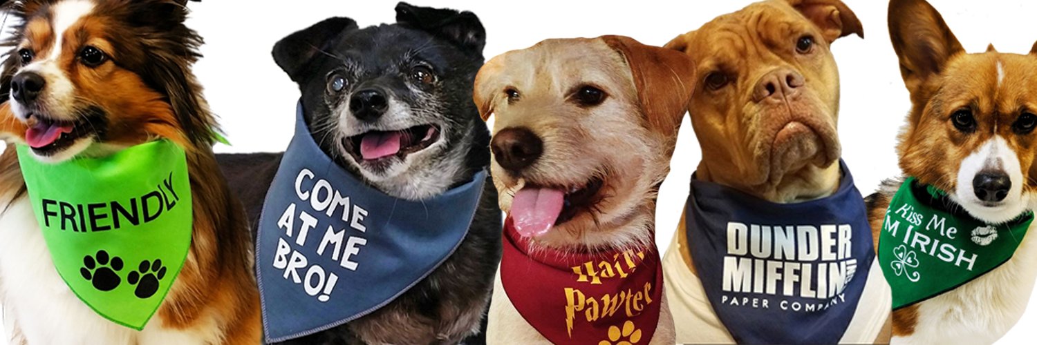 Fun_Dog's profile banner image