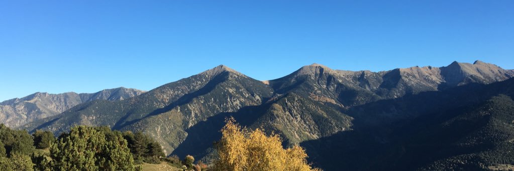 ALVAREZ Jacques banner