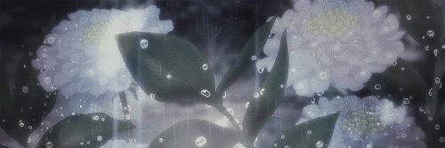 𝙺𝚒𝙺𝚒.𝚋𝚊𝚋𝚢𝚌𝚛𝚢 banner