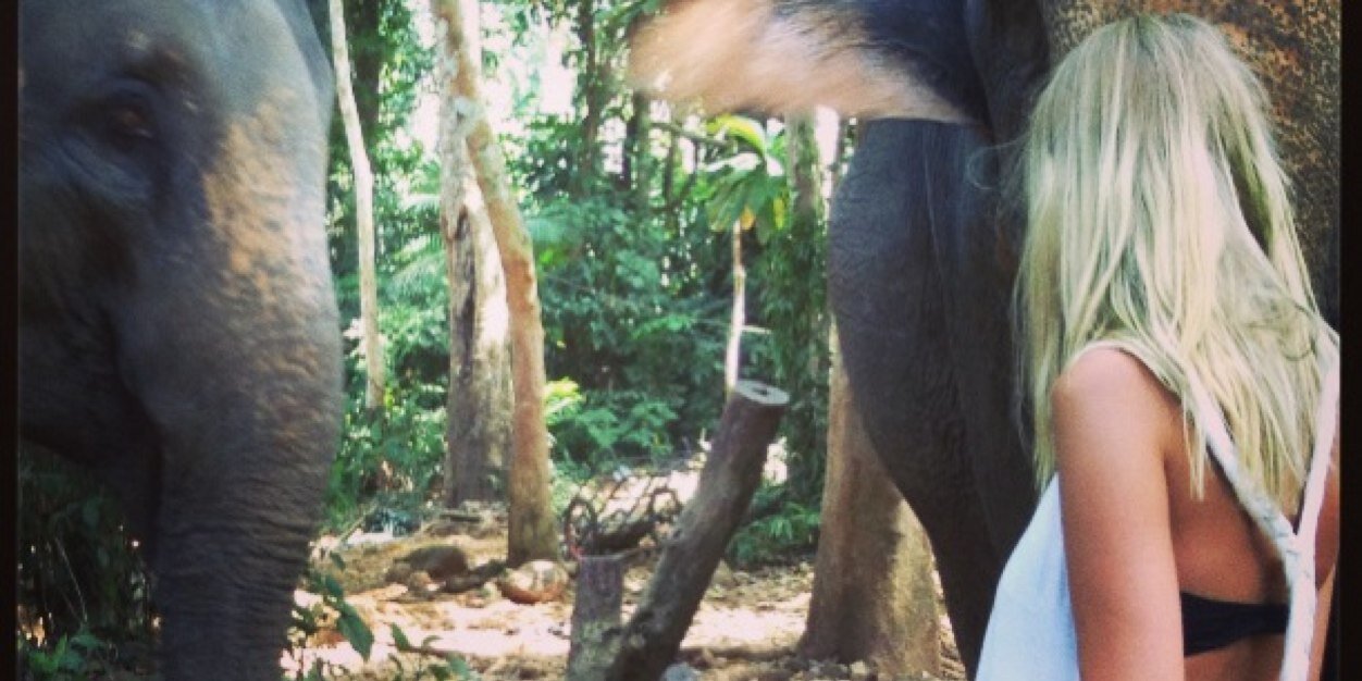 MoaaLarsson's profile banner image