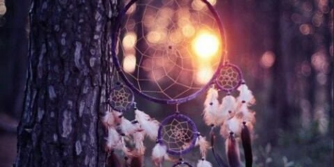la_piov's profile banner image