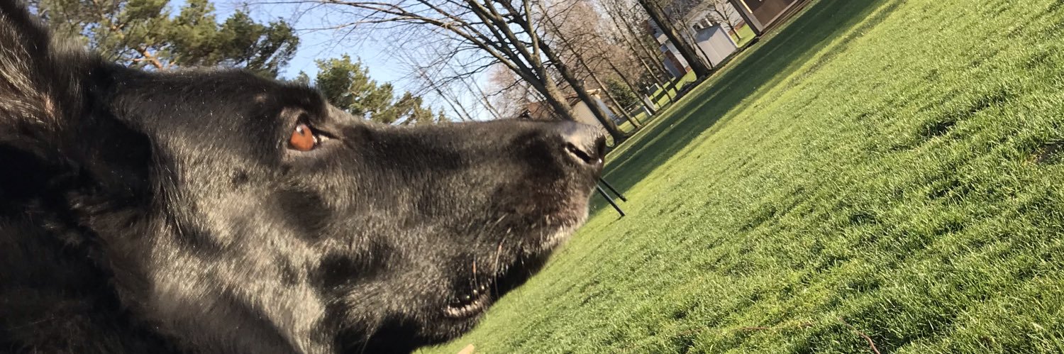 💥 Tara 💥 banner