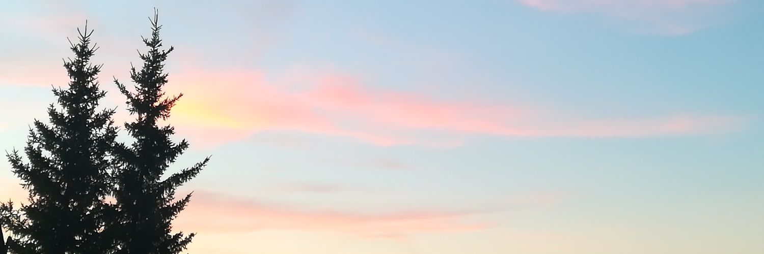 st17478749's profile banner image
