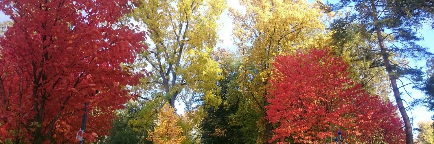 Library_Claire's profile banner image