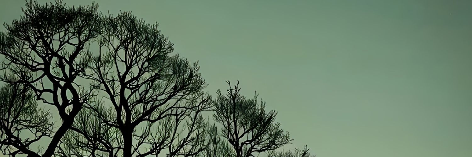 BalajiSubburam's profile banner image