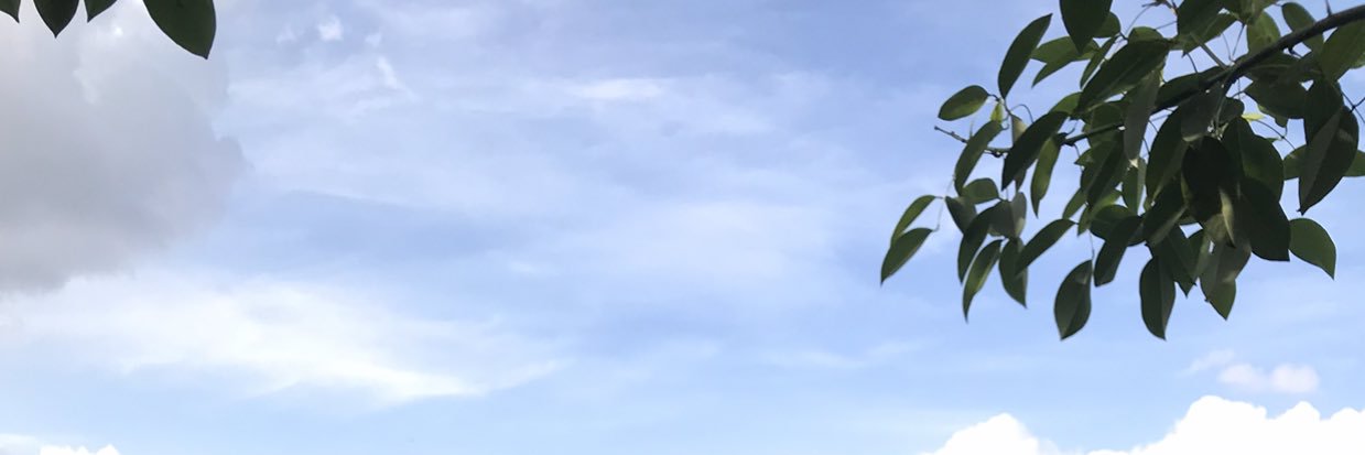 monaalhalw's profile banner image