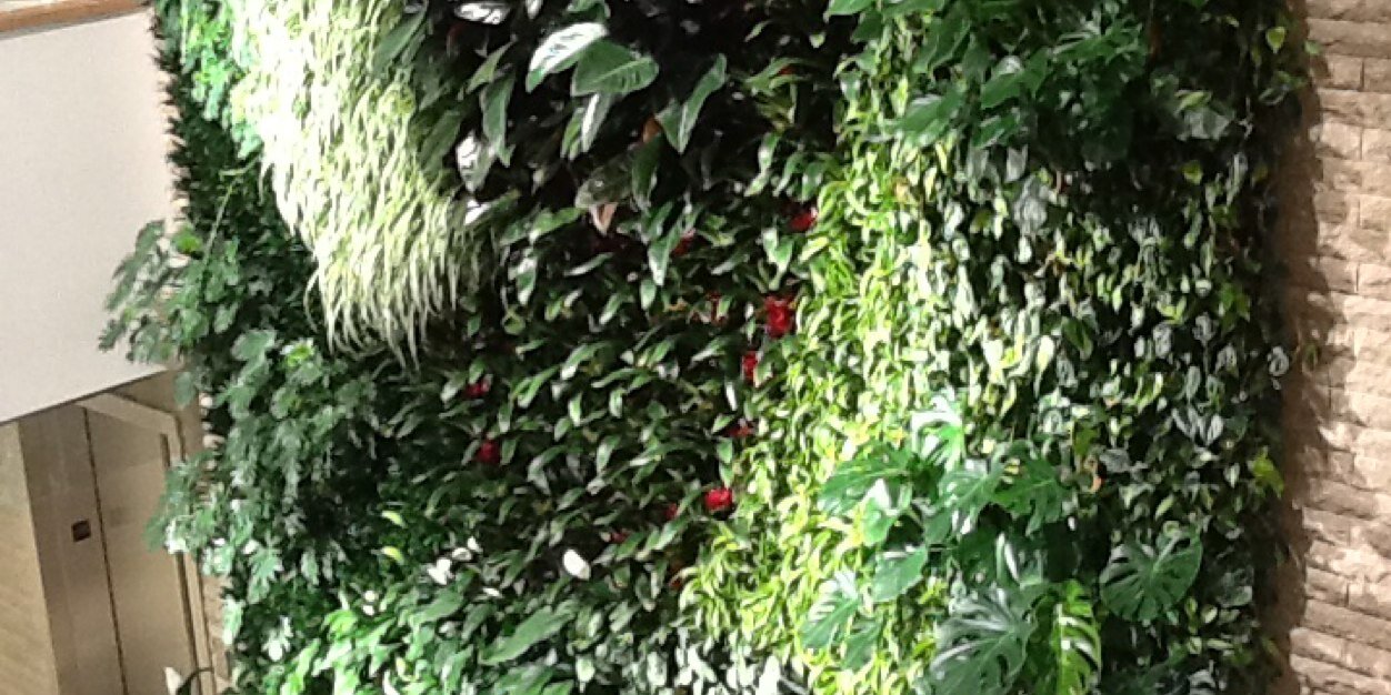 greengaljo's profile banner image
