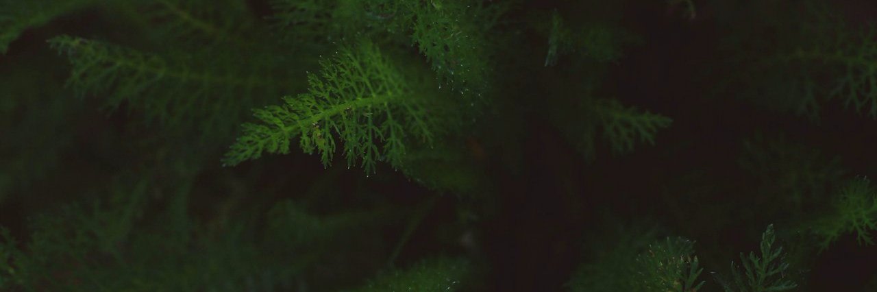 _buhman_'s profile banner image