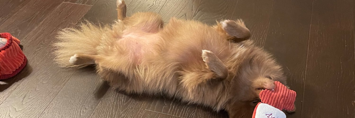 HufflePom 🟦 banner