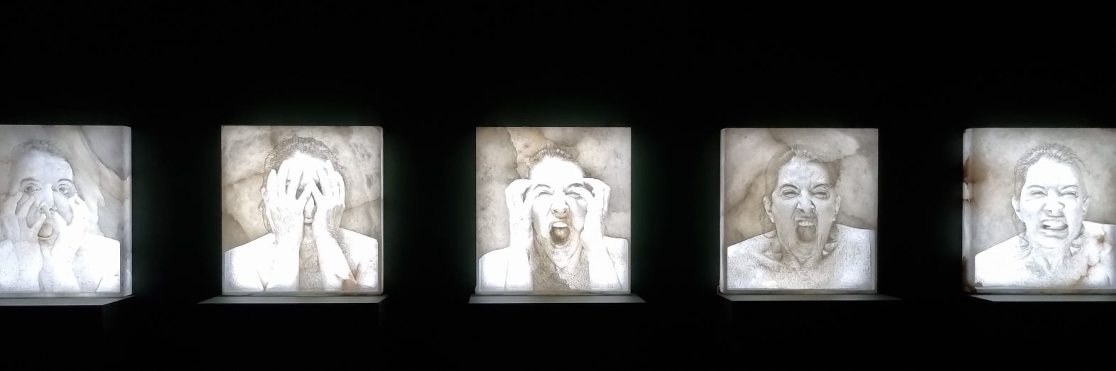 sylvyjimenezEC's profile banner image