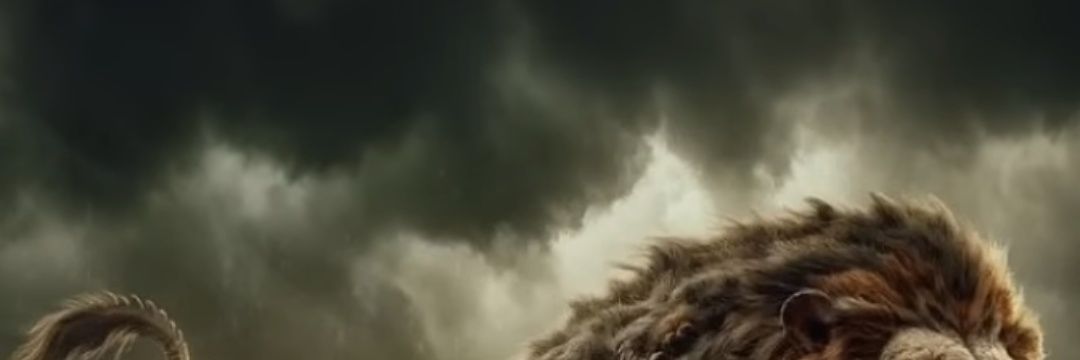 lkjkjkj banner