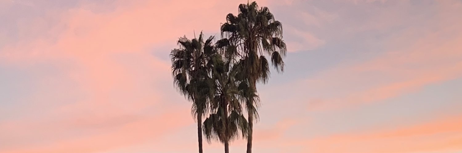 ohnatally's profile banner image