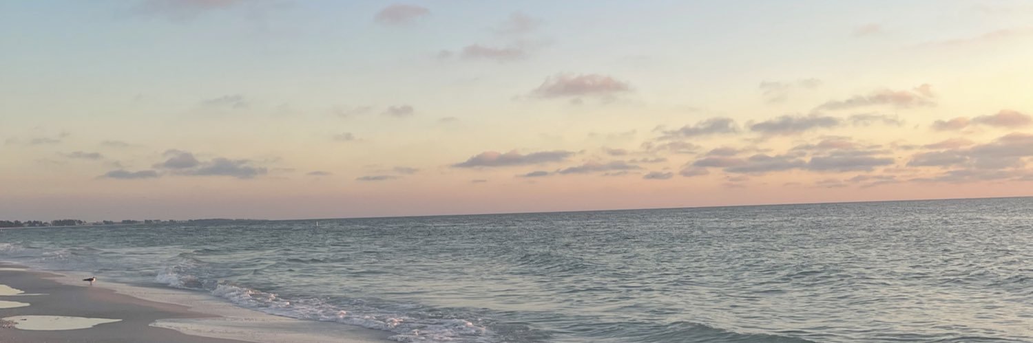 AliviaBorlie's profile banner image