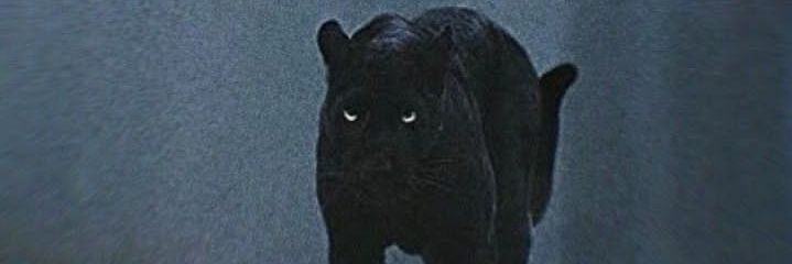 alexistorresok's profile banner image