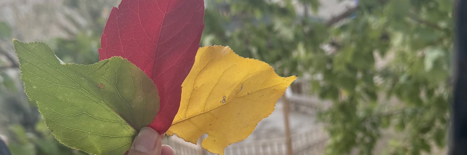 asesdl3065's profile banner image