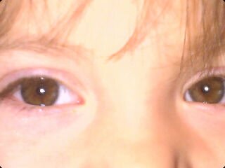 INDIRA ARRAEZ banner